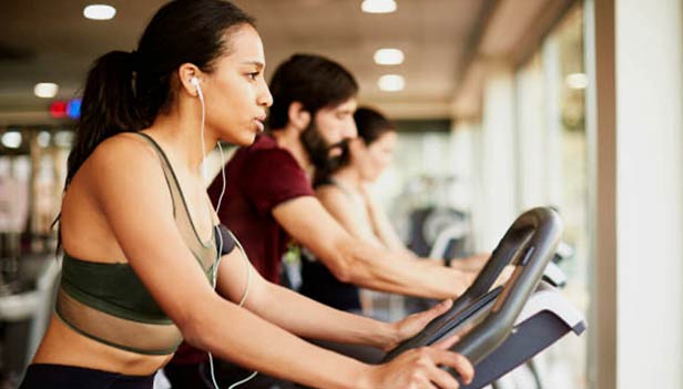 The Seagate Community